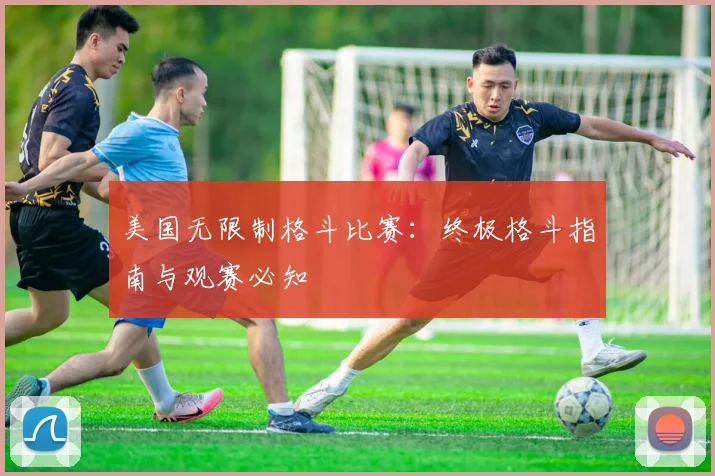 美国无限制格斗比赛：终极格斗指南与观赛必知