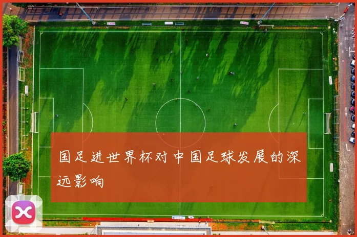国足进世界杯对中国足球发展的深远影响